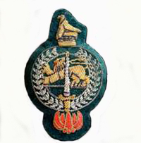 RPS cloth badge