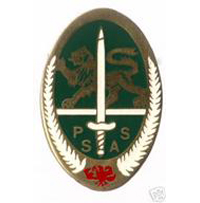 unknown pin badge