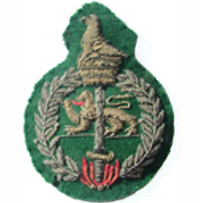 ZRP Cap Badge
